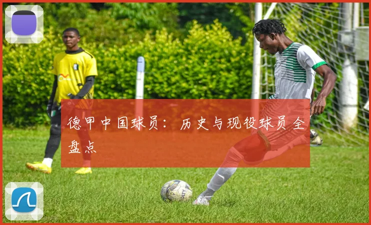 德甲中国球员：历史与现役球员全盘点