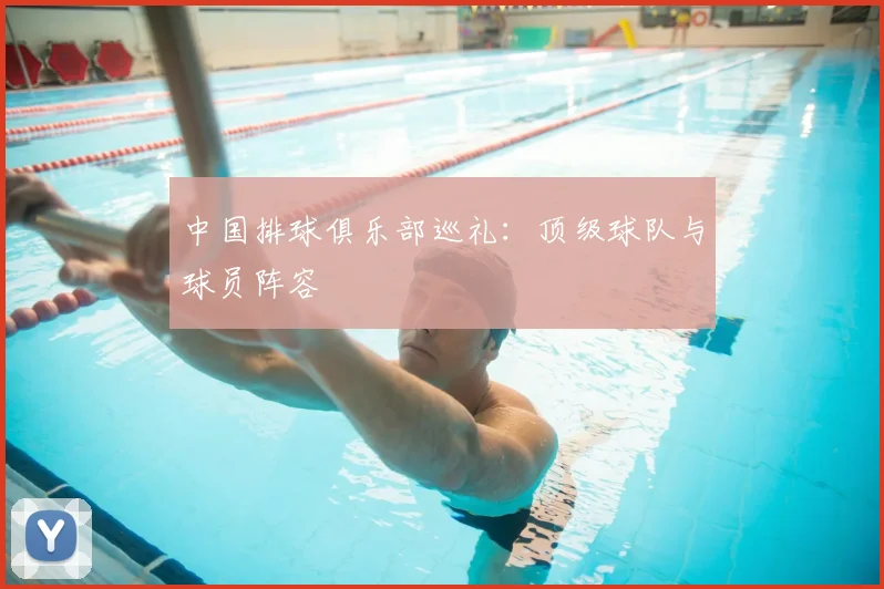 中国排球俱乐部巡礼:顶级球队与球员阵容