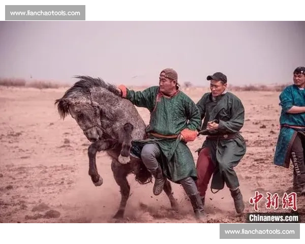 马背天骄:锡林郭勒草原驯马人的传奇与传承 马背天骄:锡林郭勒草原驯马人的传奇与传承