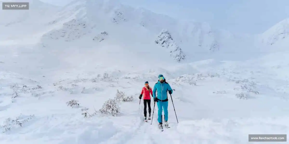 行业领先的理由